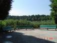 DSC00291.JPG