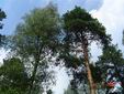 DSC00334.JPG