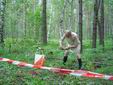 DSC00352.JPG