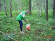 DSC00353.JPG
