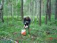 DSC00361.JPG