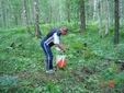 DSC00369.JPG