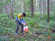 DSC00377.JPG