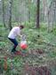 DSC00385.JPG