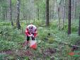 DSC00387.JPG