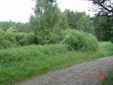 DSC00390.JPG