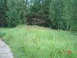 DSC00391.JPG