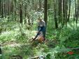 DSC00425.JPG