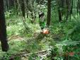 DSC00426.JPG