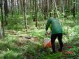 DSC00433.JPG