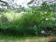 DSC00439.JPG
