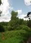 DSC00440.JPG