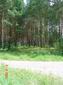 DSC00443.JPG