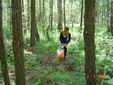 DSC00461.JPG