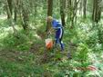 DSC00462.JPG