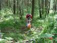 DSC00479.JPG