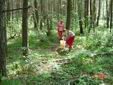 DSC00481.JPG