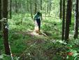 DSC00484.JPG