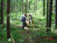 DSC00486.JPG