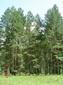 DSC00739.JPG