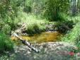 DSC00745.JPG
