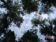 DSC00750.JPG