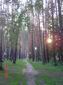 DSC00795.JPG