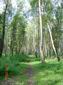 DSC00970.JPG