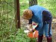 DSC00973.JPG