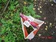 DSC01085.JPG