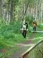 DSC01150.JPG