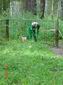 DSC01164.JPG